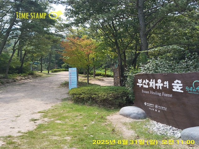 치유의 숲 입구(일자)